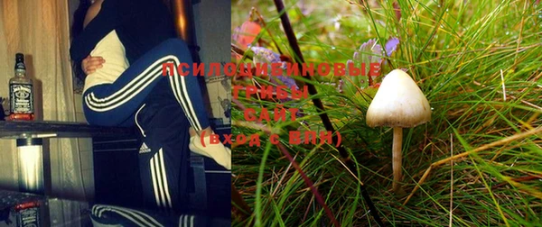 меф Алексин